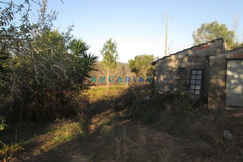 Helårsgrund i Leiria, Leiria, Leiria - € 49.500 | Ref: ANG930 - foto 13