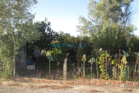 Helårsgrund i Leiria, Leiria, Leiria - € 49.500 | Ref: ANG930 - foto 15