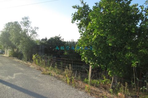 Helårsgrund i Leiria, Leiria, Leiria - € 49.500 | Ref: ANG930 - foto 17