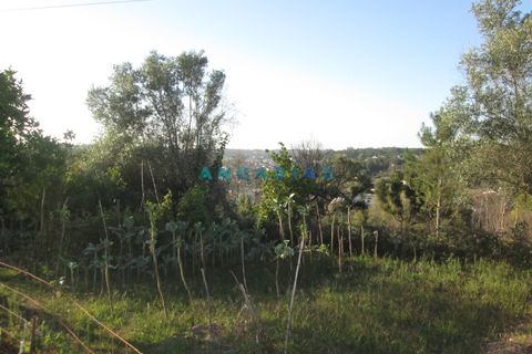Helårsgrund i Leiria, Leiria, Leiria - € 49.500 | Ref: ANG930 - foto 18