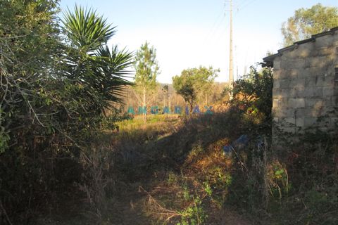 Helårsgrund i Leiria, Leiria, Leiria - € 49.500 | Ref: ANG930 - foto 19
