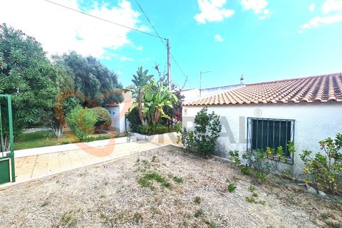 Villa i Tunes, Faro, Tunes - € 550.000 | Ref: 4293 - foto 24