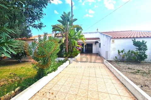 Villa i Tunes, Faro, Tunes - € 550.000 | Ref: 4293 - foto 25