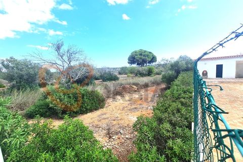Villa i Tunes, Faro, Tunes - € 550.000 | Ref: 4293 - foto 26