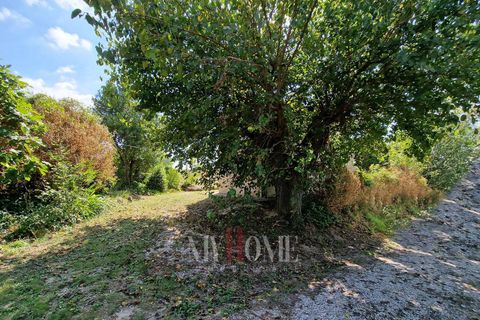 Landejendom i Carassai, Ascoli Piceno, Carassai - € 229.000 | Ref: ST482 - foto 7