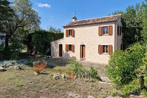 Landejendom i Carassai, Ascoli Piceno, Carassai - € 229.000 | Ref: ST482 - foto 19
