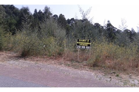 Helårsgrund i Ponte de Lima, Viana do Castelo, Ponte de Lima - € 115.000 | Ref: MDS2403 - foto 2