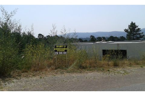 Helårsgrund i Ponte de Lima, Viana do Castelo, Ponte de Lima - € 115.000 | Ref: MDS2403 - foto 3