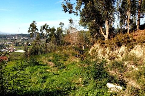 Helårsgrund i Ponte de Lima, Viana do Castelo, Ponte de Lima - € 240.000 | Ref: MDS3425 - foto 2