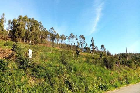 Helårsgrund i Ponte de Lima, Viana do Castelo, Ponte de Lima - € 240.000 | Ref: MDS3425 - foto 5