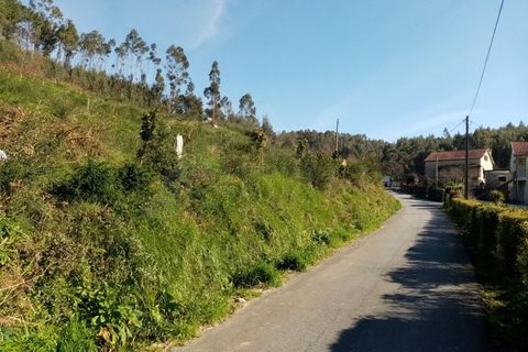 Helårsgrund i Ponte de Lima, Viana do Castelo, Ponte de Lima - € 240.000 | Ref: MDS3425 - foto 6