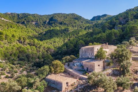Cortijo i Estellencs, Mallorca, Estellencs - € 12.875.000 | Ref: EST52941 - foto 11