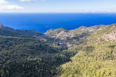 Cortijo i Estellencs, Mallorca, Estellencs - € 12.875.000 | Ref: EST52941 - foto 12