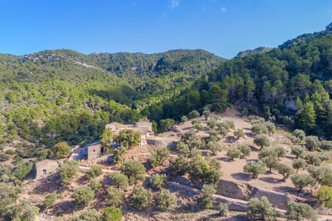 Cortijo i Estellencs, Mallorca, Estellencs - € 12.875.000 | Ref: EST52941 - foto 13