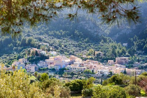 Cortijo i Estellencs, Mallorca, Estellencs - € 12.875.000 | Ref: EST52941 - foto 15
