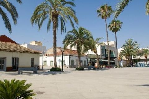 Bungalow i Algorfa, Alicante, Algorfa - € 239 000 | Ref: P3453 - foto 20