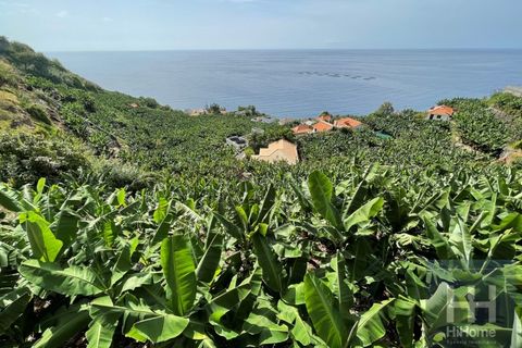 Helårsgrund i Arco da Calheta, Madeira, Arco da Calheta - € 550.000 | Ref: HH_1875MD23 - foto 5