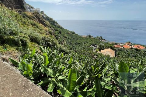 Helårsgrund i Arco da Calheta, Madeira, Arco da Calheta - € 550.000 | Ref: HH_1875MD23 - foto 1