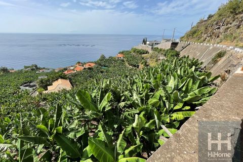 Helårsgrund i Arco da Calheta, Madeira, Arco da Calheta - € 550.000 | Ref: HH_1875MD23 - foto 6