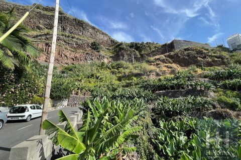 Helårsgrund i Arco da Calheta, Madeira, Arco da Calheta - € 550.000 | Ref: HH_1875MD23 - foto 8