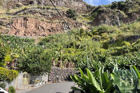 Helårsgrund i Arco da Calheta, Madeira, Arco da Calheta - € 550.000 | Ref: HH_1875MD23 - foto 9