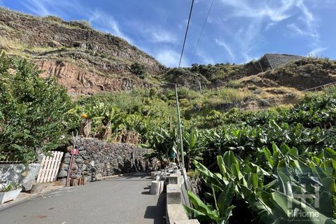 Helårsgrund i Arco da Calheta, Madeira, Arco da Calheta - € 550.000 | Ref: HH_1875MD23 - foto 4
