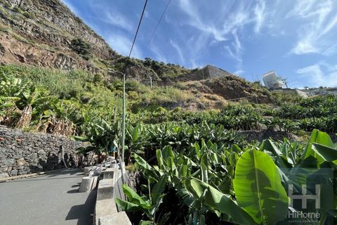 Helårsgrund i Arco da Calheta, Madeira, Arco da Calheta - € 550.000 | Ref: HH_1875MD23 - foto 10