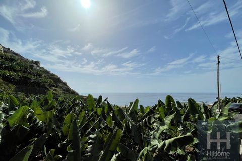 Helårsgrund i Arco da Calheta, Madeira, Arco da Calheta - € 550.000 | Ref: HH_1875MD23 - foto 12