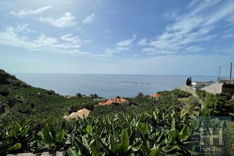 Helårsgrund i Arco da Calheta, Madeira, Arco da Calheta - € 550.000 | Ref: HH_1875MD23 - foto 2