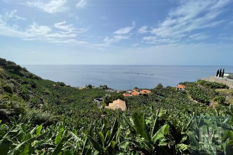 Helårsgrund i Arco da Calheta, Madeira, Arco da Calheta - € 550.000 | Ref: HH_1875MD23 - foto 13