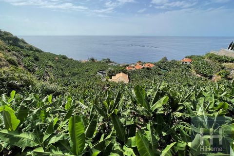 Helårsgrund i Arco da Calheta, Madeira, Arco da Calheta - € 550.000 | Ref: HH_1875MD23 - foto 3