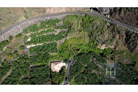 Helårsgrund i Arco da Calheta, Madeira, Arco da Calheta - € 550.000 | Ref: HH_1875MD23 - foto 14