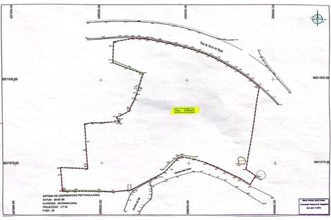 Helårsgrund i Arco da Calheta, Madeira, Arco da Calheta - € 550.000 | Ref: HH_1875MD23 - foto 16