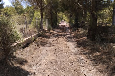 Terra a Totana, Murcia, Totana - € 130.000 | Ref: 001083/9522 - foto 4
