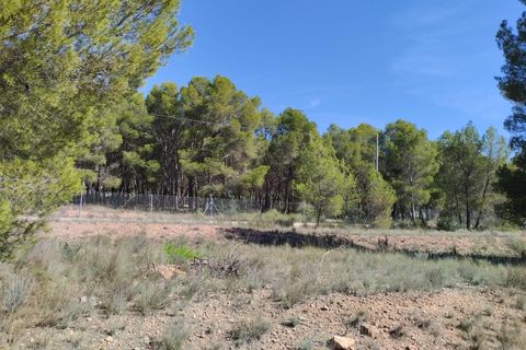 Terra a Totana, Murcia, Totana - € 130.000 | Ref: 001083/9522 - foto 5