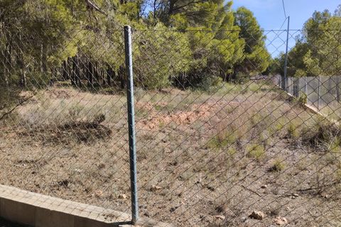 Terra a Totana, Murcia, Totana - € 130.000 | Ref: 001083/9522 - foto 6
