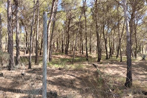 Terra a Totana, Murcia, Totana - € 130.000 | Ref: 001083/9522 - foto 7