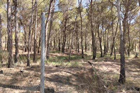 Terra a Totana, Murcia, Totana - € 130.000 | Ref: 001083/9522 - foto 8