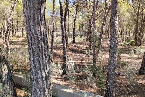 Terra a Totana, Murcia, Totana - € 130.000 | Ref: 001083/9522 - foto 9