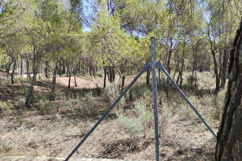 Terra a Totana, Murcia, Totana - € 130.000 | Ref: 001083/9522 - foto 10