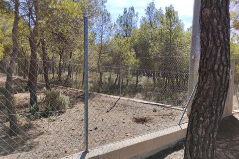 Terra a Totana, Murcia, Totana - € 130.000 | Ref: 001083/9522 - foto 12