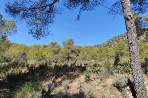 Terra a Totana, Murcia, Totana - € 130.000 | Ref: 001083/9522 - foto 13