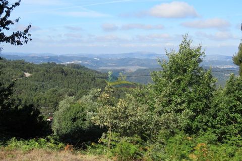 Villa a Miranda do Corvo, Coimbra, Miranda do Corvo - € 450.000 | Ref: ko2471 - foto 8