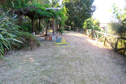 Villa a Miranda do Corvo, Coimbra, Miranda do Corvo - € 450.000 | Ref: ko2471 - foto 45