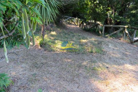 Villa a Miranda do Corvo, Coimbra, Miranda do Corvo - € 450.000 | Ref: ko2471 - foto 46