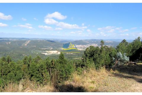 Villa a Miranda do Corvo, Coimbra, Miranda do Corvo - € 450.000 | Ref: ko2471 - foto 47