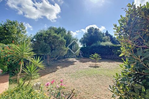 Landejendom i Alaior, Menorca, Alaior - € 990.000 | Ref: MEN44820 - foto 9