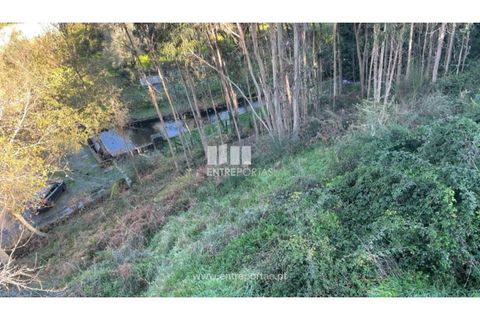Terra a Areosa, Viana do Castelo, Areosa - € 60.000 | Ref: VCC14195 - foto 7