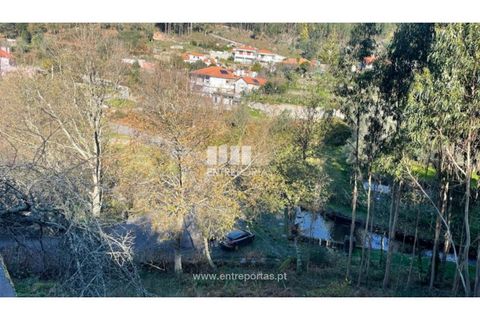 Terra a Areosa, Viana do Castelo, Areosa - € 60.000 | Ref: VCC14195 - foto 8