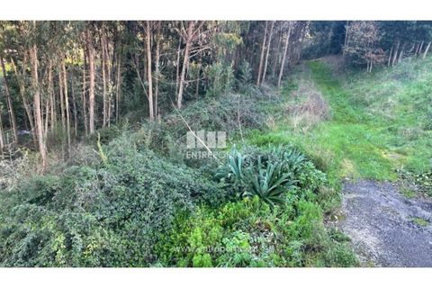 Terra a Areosa, Viana do Castelo, Areosa - € 60.000 | Ref: VCC14195 - foto 9